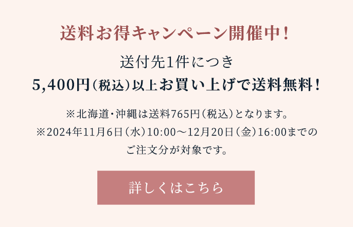 送料お得キャンペーン開催中！